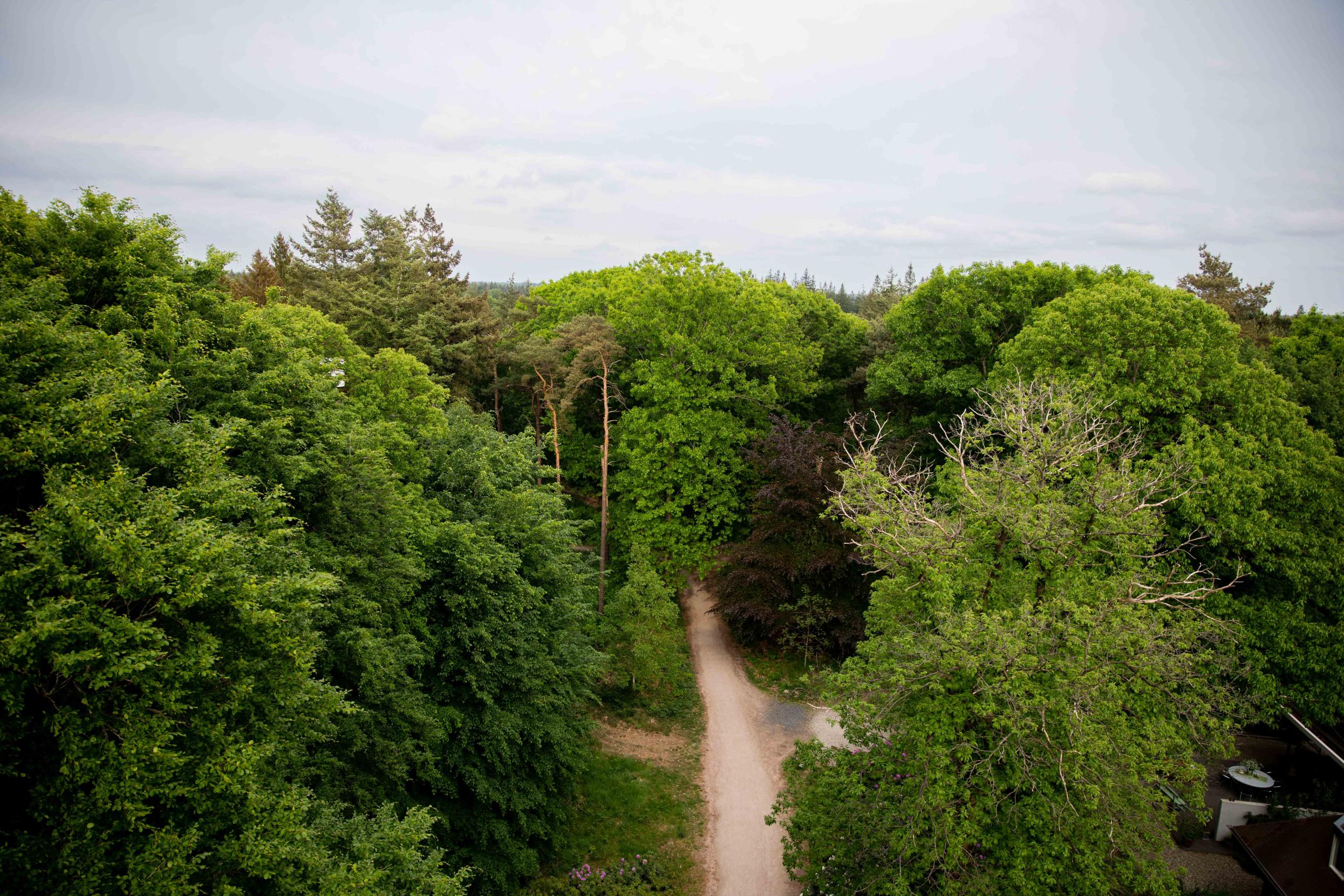 natuur