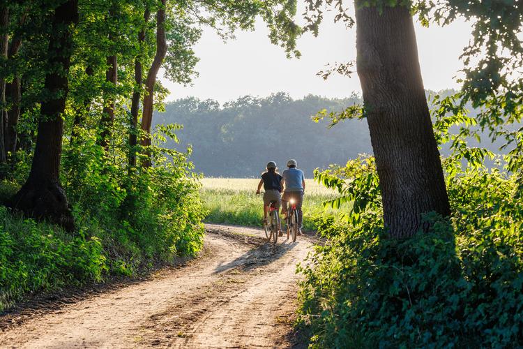 Fietsen langs de mooiste vennen